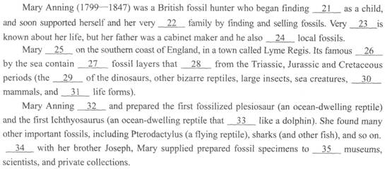 2022年上海成考专升本《英语》预习试题及答案七 2022年上海成考专升本《英语》预习试题及答案七